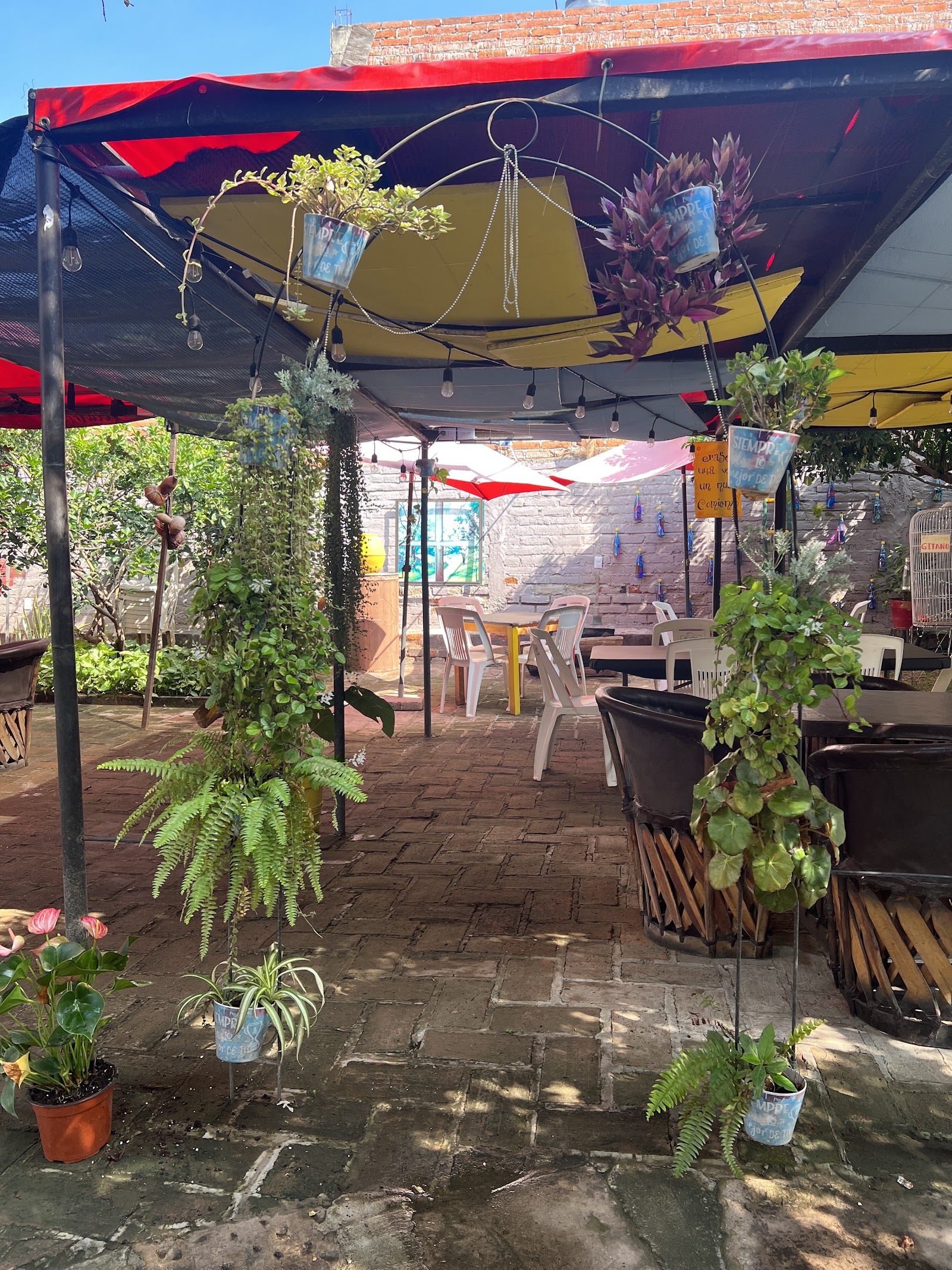 Al sabor campestre