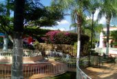 Terraza Cafe Boutique