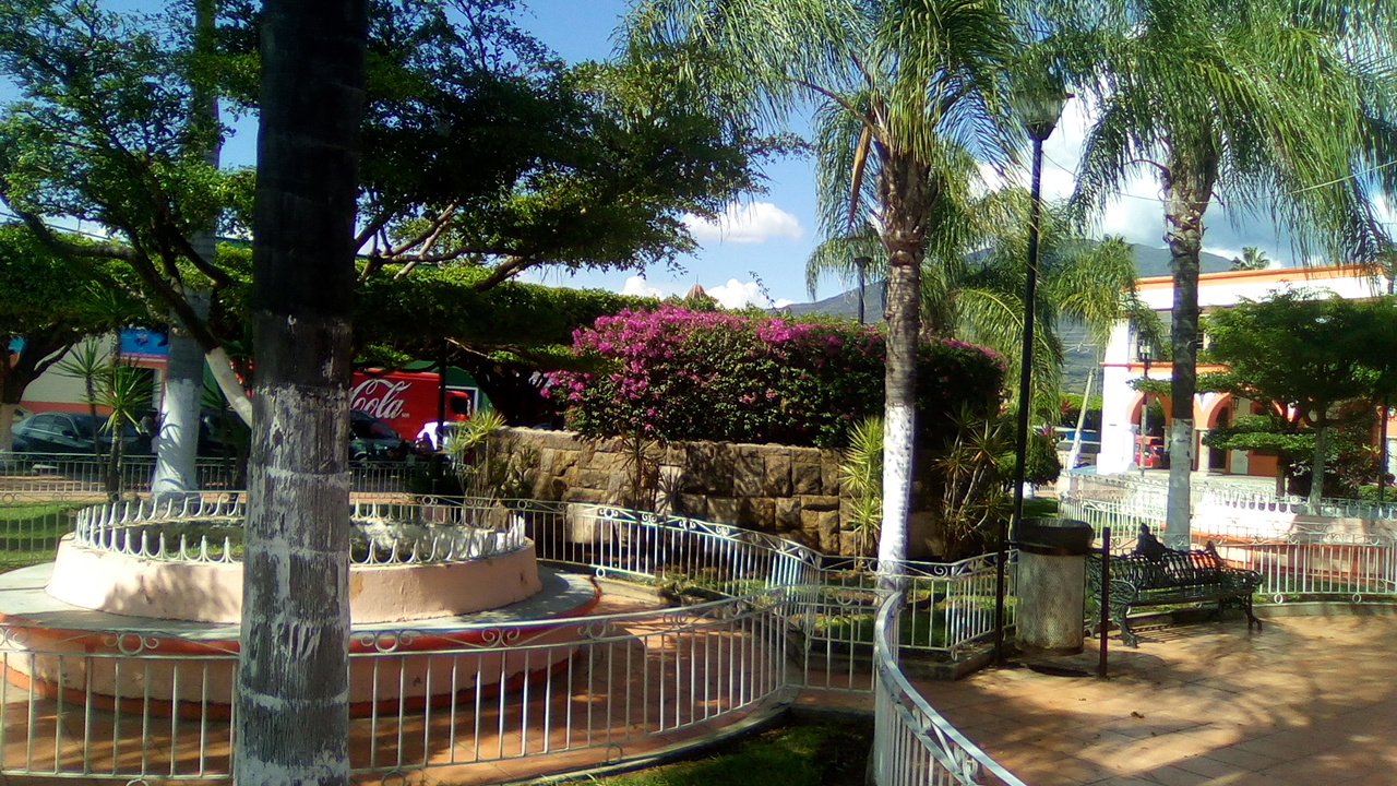 Terraza Cafe Boutique