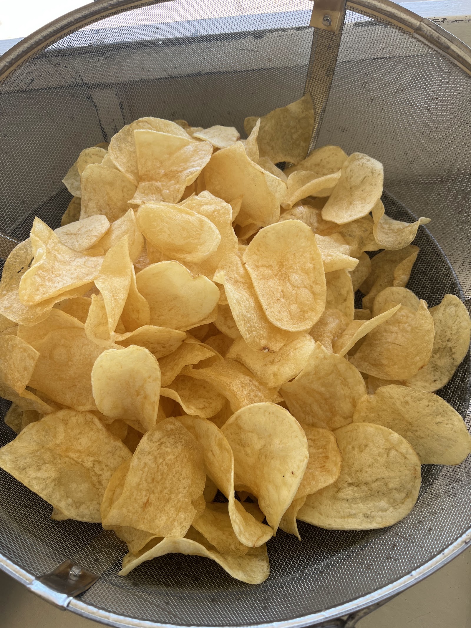 Papurrias ala Vuelta las originales