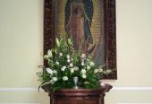 Ilian´s Floreria
