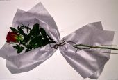 Ilian´s Floreria