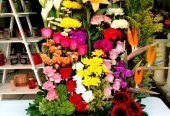 Ilian´s Floreria