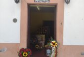 Floreria “Los pétalitos” Jala