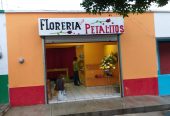Florería Los Petalitos