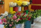 Florería Los Petalitos