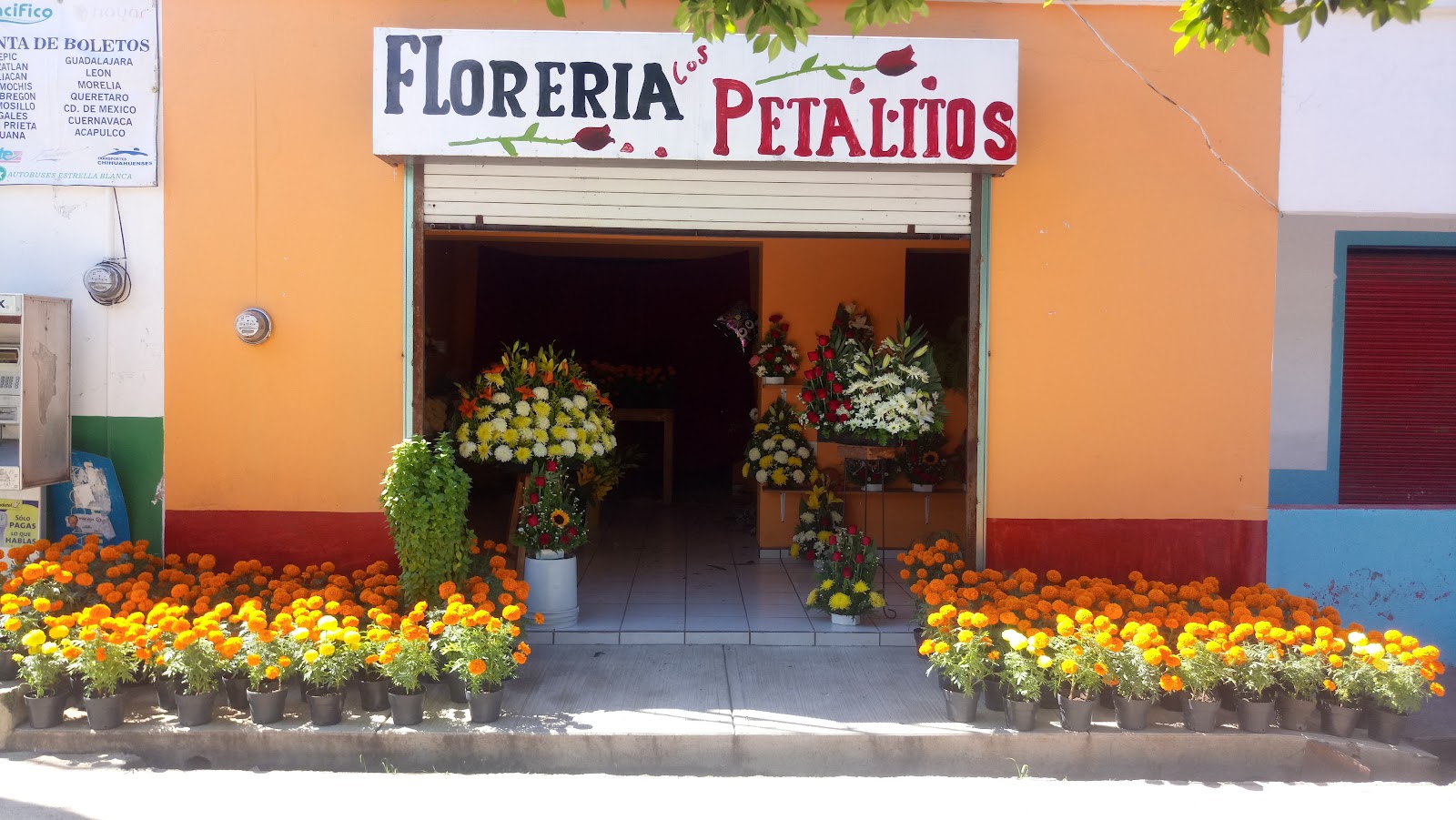 Florería Los Petalitos