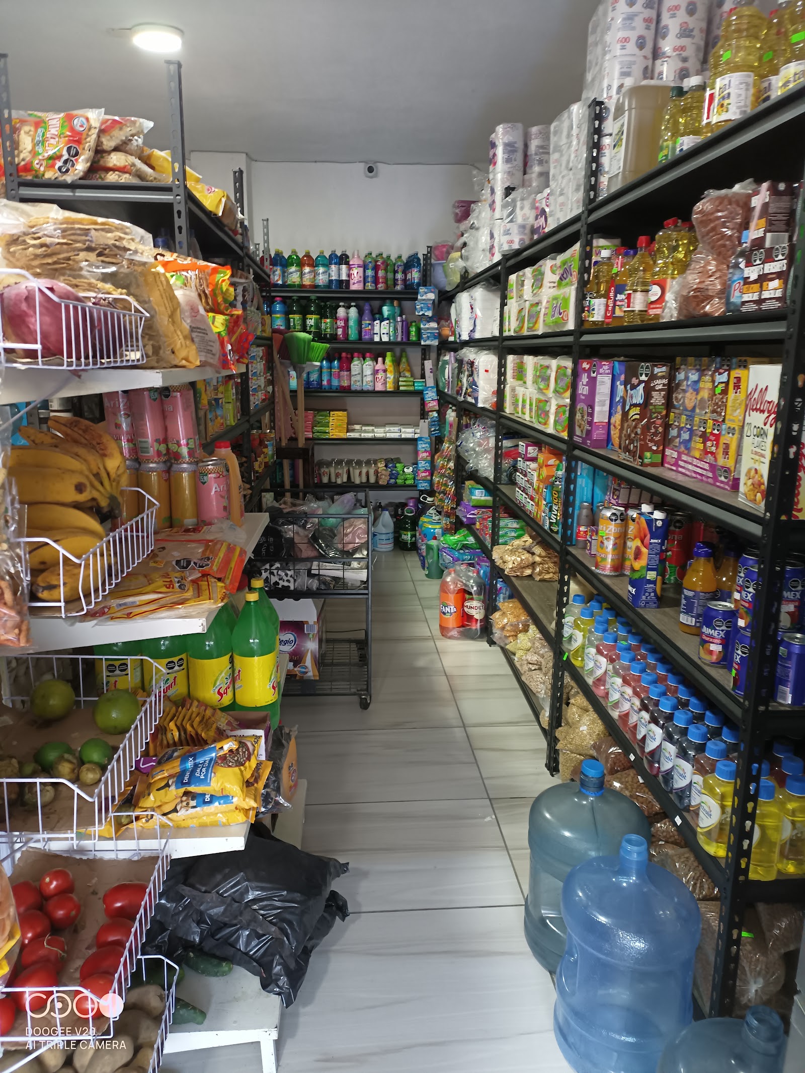 Papelería y abarrotes Zendejas