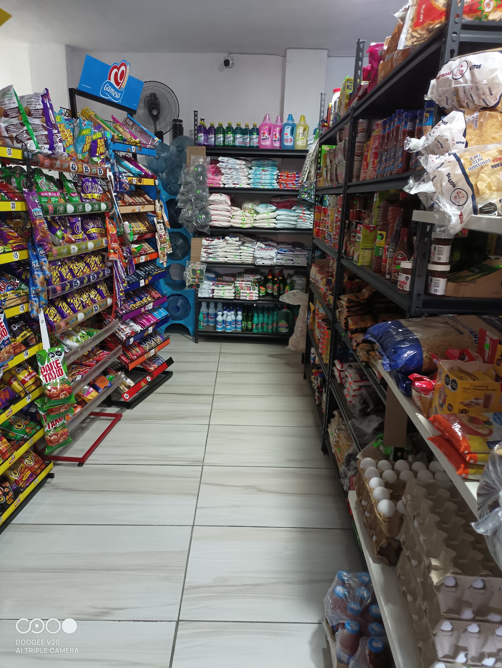 Papelería y abarrotes Zendejas
