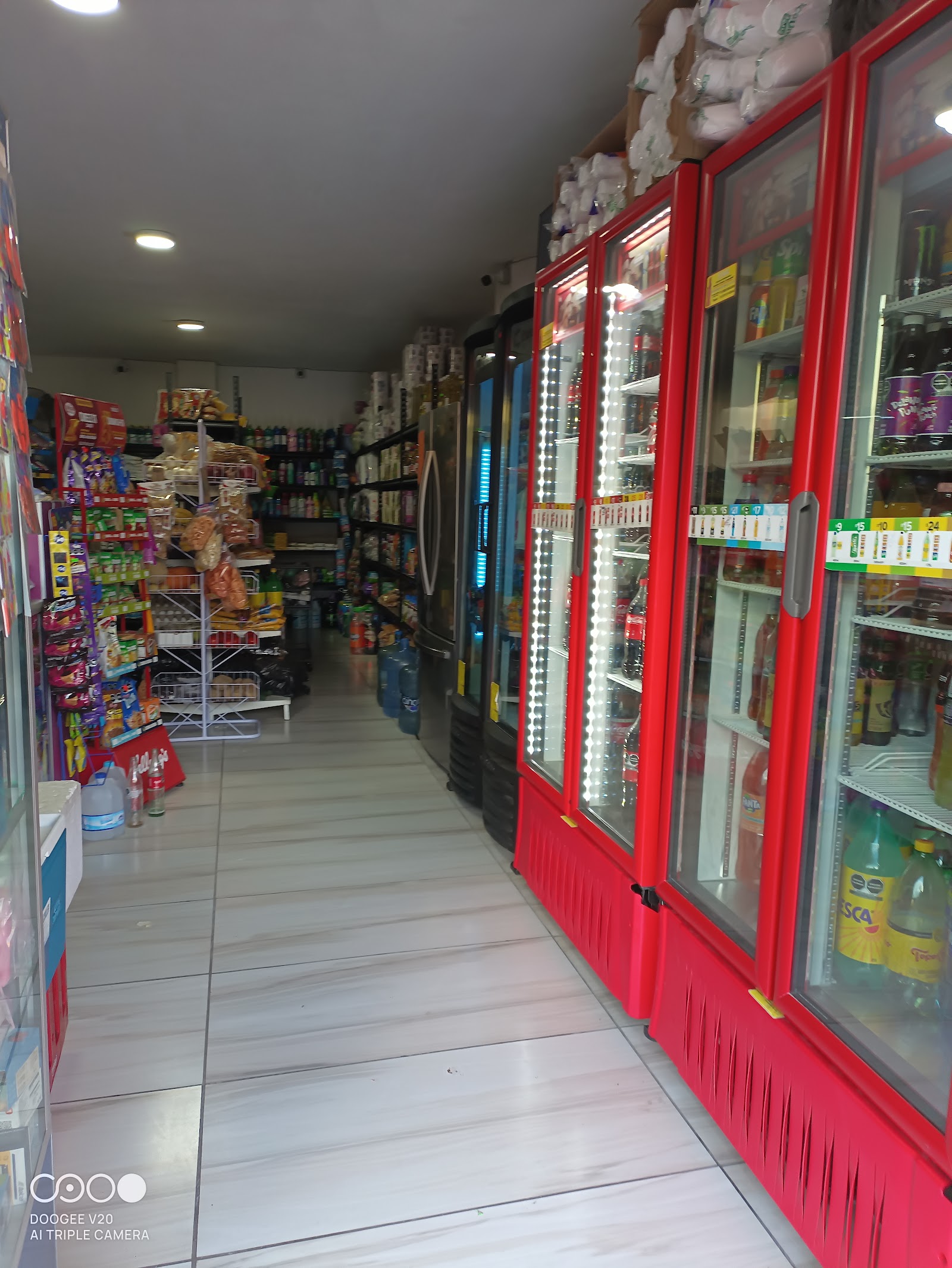 Papelería y abarrotes Zendejas